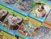 Collector Cards